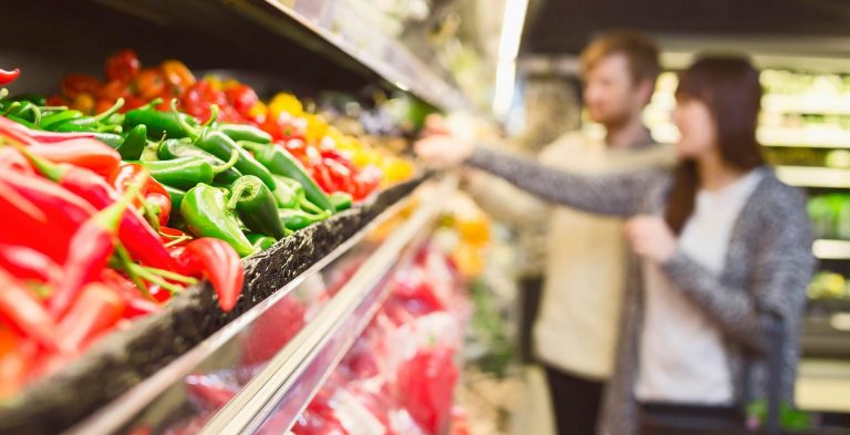 Schädlingsbekämpfung für Industrie Handel und Wirtschaft